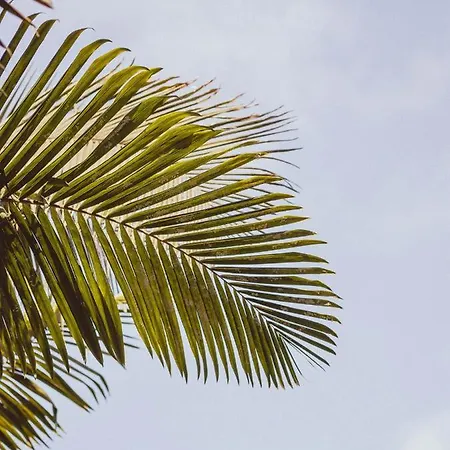 Вилла The Circular - Jacuzzi, Hiking & Vineyards